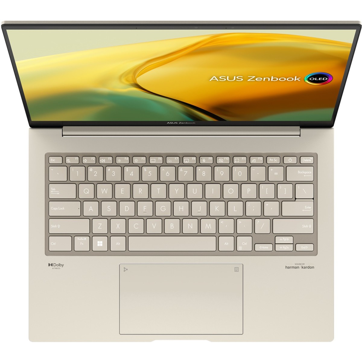 Ноутбуки Asus Zenbook 14X OLED UX3404VC [UX3404VC-M3043X]