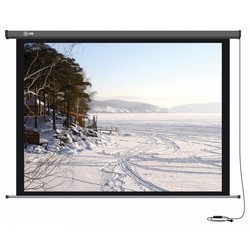 Проекционный экран CACTUS Professional Motoscreen 244x183
