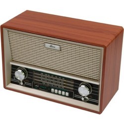 Радиоприемник Ritmix RPR-101 (коричневый)
