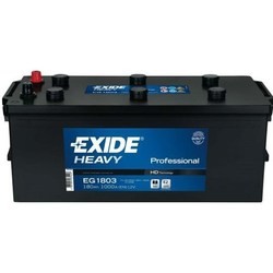 Автоаккумулятор Exide Professional (EG1102)