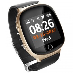 Носимый гаджет Smart Watch Smart EW100 (золотистый)