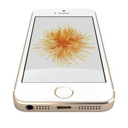 Мобильный телефон Apple iPhone SE 32GB (золотистый)