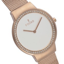 Наручные часы Fjord FJ-6003-44