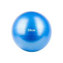 Мячи для фитнеса и фитболы Fitnessport GB-55