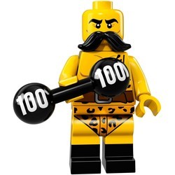 Конструктор Lego Minifigures Series 17 71018