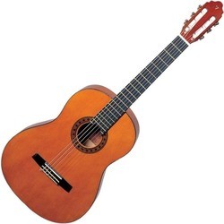 Акустические гитары Valencia CG190