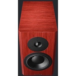 Акустическая система Dynaudio Special Forty (серый)