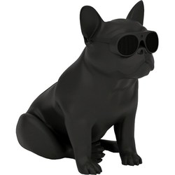 Аудиосистема Jarre AeroBull XS1