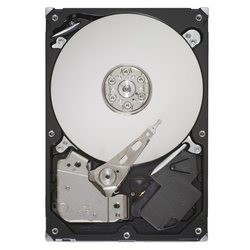 Жесткий диск Seagate ST32000542AS