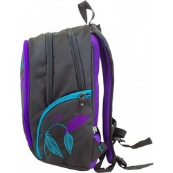 Школьный рюкзак (ранец) WinMax K-378