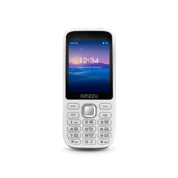 Мобильный телефон Ginzzu M201 (белый)