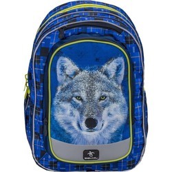 Школьный рюкзак (ранец) Belmil Spacious Alaska