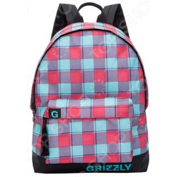Рюкзак Grizzly RD-750-6/3 (разноцветный)
