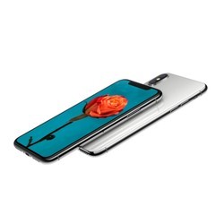 Мобильный телефон Apple iPhone X 64GB (черный)