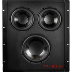 Сабвуфер TruAudio TRUNAMI-DSP-PAK