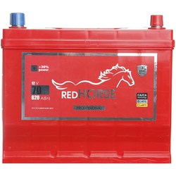 Автоаккумуляторы Red Horse Professional Asia 6CT-45L