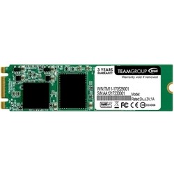 SSD накопитель Team Group TM8PS5256GMC101