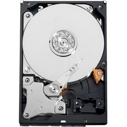 Жесткие диски WD WD5000AVVS