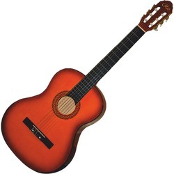 Гитара Rio RGC-2