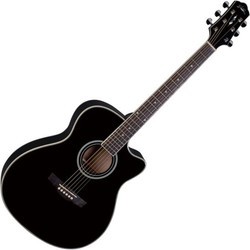 Гитара Naranda TG220C