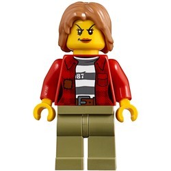 Конструктор Lego Mountain Arrest 60173