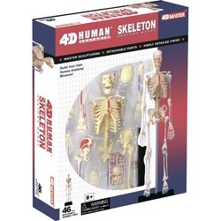 3D пазл 4D Master Human Skeleton Model 26059