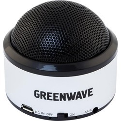 Портативная акустика Greenwave PS-300M
