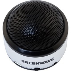 Портативная акустика Greenwave PS-300M