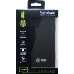 Powerbank аккумулятор CACTUS CS-PBAS282-5000