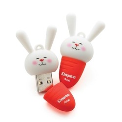 USB-флешки Kingston DataTraveler Hare Chinese NY 4Gb