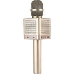 Микрофон MICGEEK Q10S