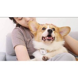 Носимый гаджет Xiaomi Smart Pet Dog Locator