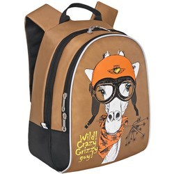 Школьный рюкзак (ранец) Grizzly RS-734-2