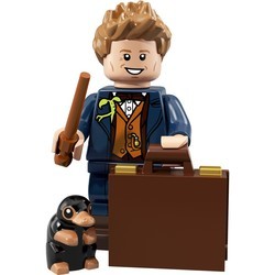 Конструктор Lego Harry Potter and Fantastic Beasts Series 1 71022