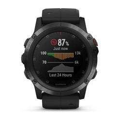 Носимый гаджет Garmin Fenix 5X Plus (синий)