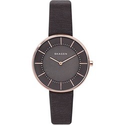 Наручные часы Skagen SKW2613