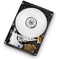Жесткие диски Hitachi HTS545040B9A300