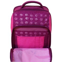 Школьный рюкзак (ранец) Bagland 0012870