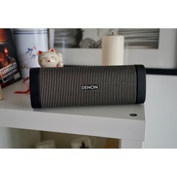 Портативная акустика Denon Envaya DSB-250BT (черный)