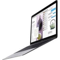 Ноутбук Apple MacBook 12" (2017) (Z0TZ0001U)