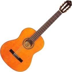 Акустические гитары Valencia VC101