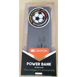 Powerbank аккумулятор Canyon CNE-CPBF100 (серый)