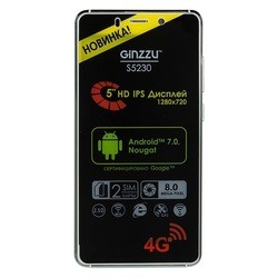 Мобильный телефон Ginzzu S5230 (белый)