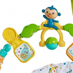 Ходунки Fisher Price FDG98