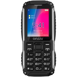 Мобильный телефон Ginzzu R70