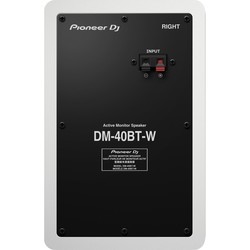 Акустическая система Pioneer DM-40BT (белый)