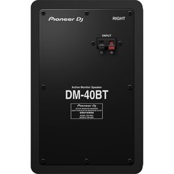 Акустическая система Pioneer DM-40BT (черный)