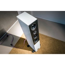 Акустическая система Audio Physic Midex