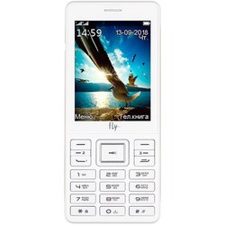 Мобильный телефон Fly TS114 (белый)