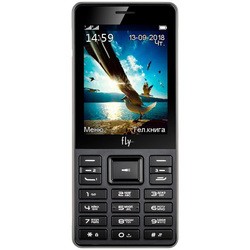Мобильный телефон Fly TS114 (черный)